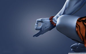 Blue-skinned deity hand in meditation mudra with rudraksha beads and tiger skin HD wallpaper