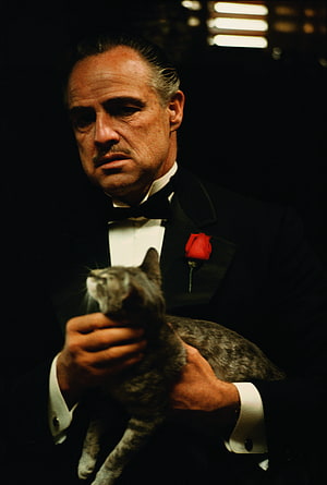 Don Vito Corleone Holding Cat in Tuxedo From The Godfather Film HD phone wallpaper
