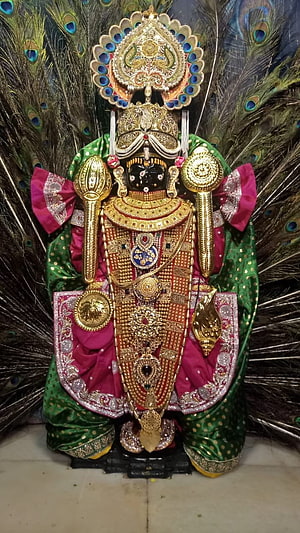 Ornate Dwarkadhish Krishna Murti with Peacock Feather Fan and Gold Jewelry HD phone wallpaper