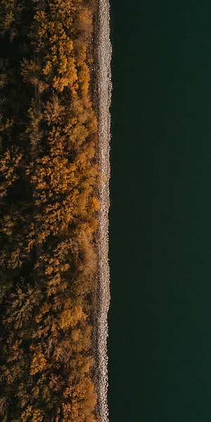 Aerial View of Autumn Forest and Rocky Shoreline Meeting Dark Water HD phone wallpaper