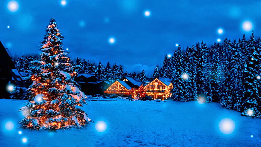 Snowy Christmas Tree and Lit Cabin in Winter Night Landscape HD wallpaper