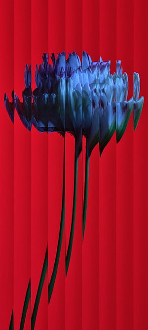 Abstract Glitch Art Tulips With Vertical Distortion On Vibrant Red Background HD phone wallpaper