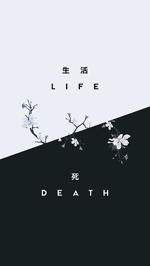 Minimalist Life and Death Quote Wallpaper with Cherry Blossoms HD phone wallpaper