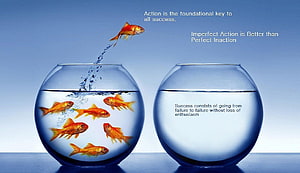 Motivational Goldfish Leaping from Fish Bowl Conceptual Art HD wallpaper