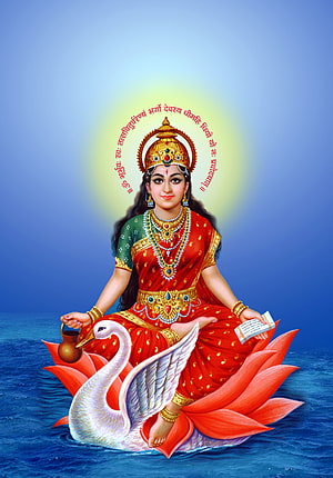 Saraswati Devi Sitting on Swan and Lotus with Veena and Book HD phone wallpaper