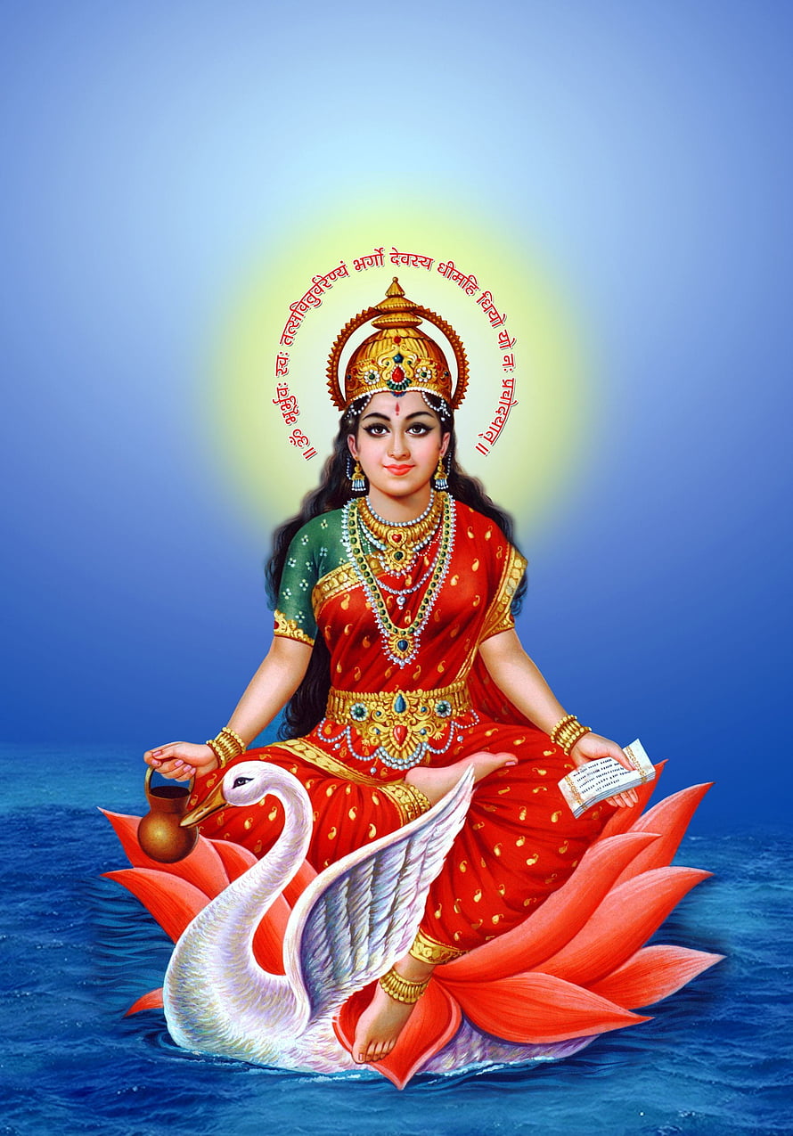 Saraswati Devi Sitting on Swan and Lotus with Veena and Book HD phone wallpaper