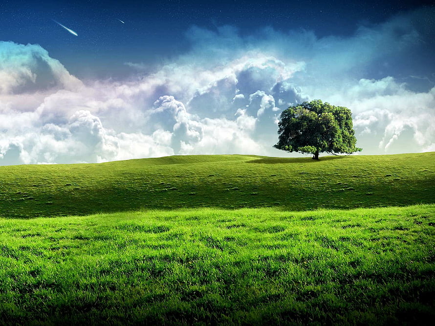 Lone Tree on a Rolling Green Hill Under a Dramatic Cloudy Sky HD wallpaper