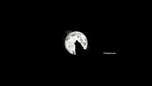 Silhouette of a Howling Wolf Against a Bright Full Moon in the Night Sky HD wallpaper