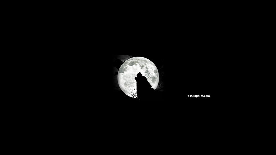 Silhouette of a Howling Wolf Against a Bright Full Moon in the Night Sky HD wallpaper