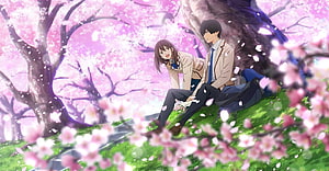 I Want to Eat Your Pancreas Anime Couple Under Cherry Blossoms HD wallpaper