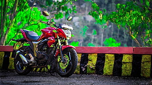 Red Bajaj Pulsar Motorcycle Parked Beside a Striped Barrier in a Lush Green Forest HD wallpaper