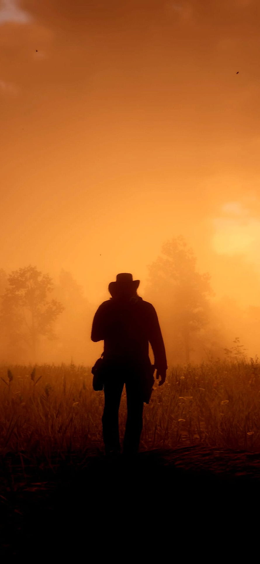 Red Dead Redemption 2 cowboy silhouette in golden sunset field HD phone wallpaper