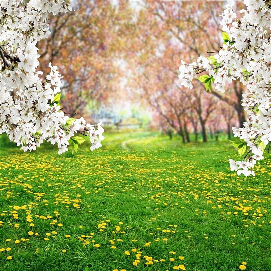Spring Cherry Blossom Meadow with Yellow Dandelions and Lush Green Grass HD phone wallpaper