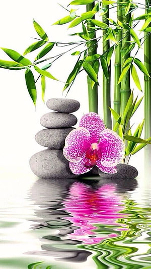 Serene Zen Garden with Stacked Stones, Pink Orchid, and Bamboo Reflections HD phone wallpaper