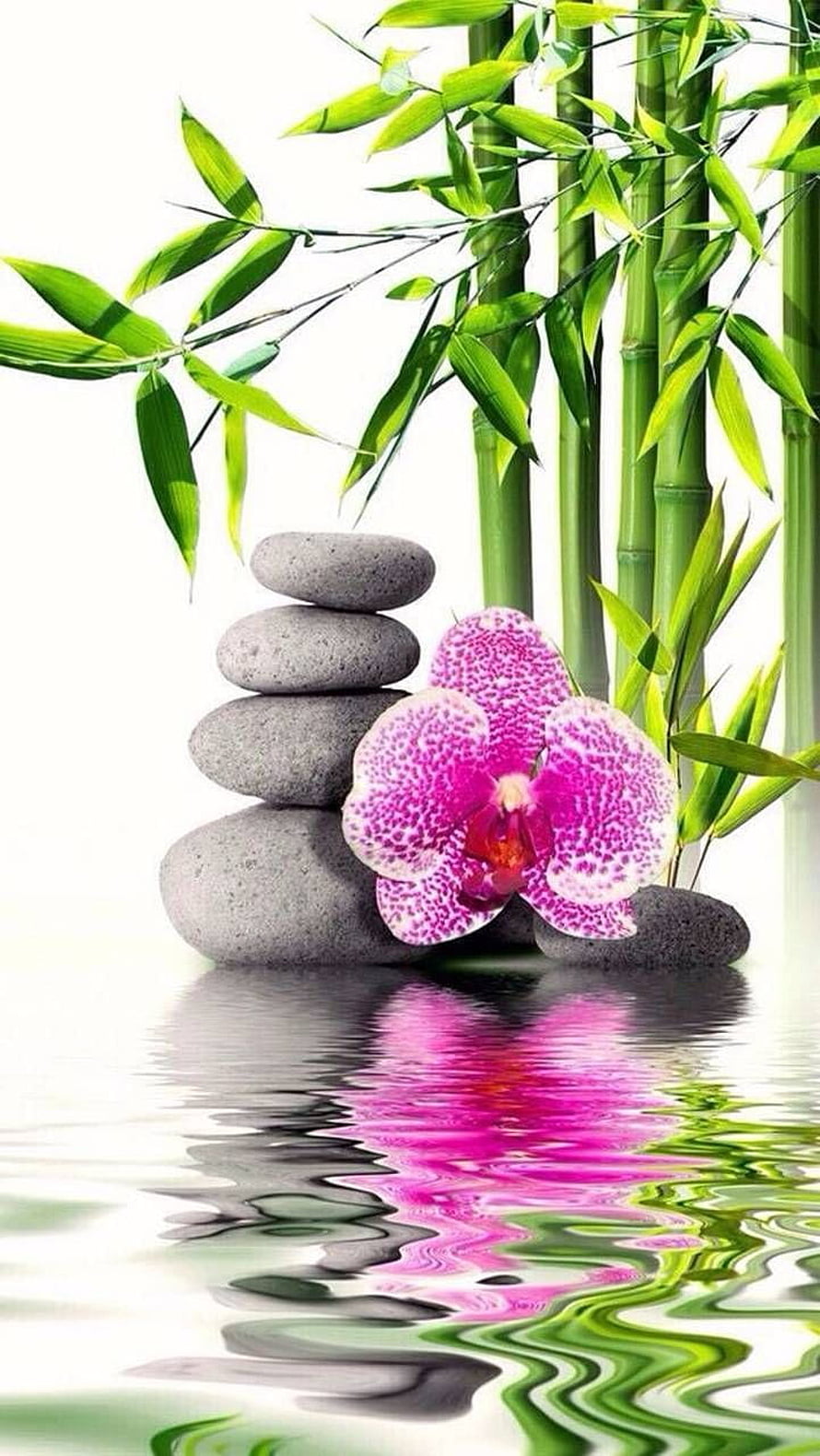 Serene Zen Garden with Stacked Stones, Pink Orchid, and Bamboo Reflections HD phone wallpaper