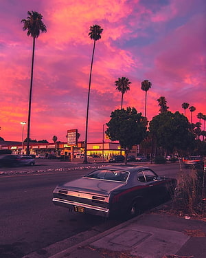 Classic American Muscle Car Parked Under Vibrant Pink Sunset Sky With Palm Trees HD phone wallpaper