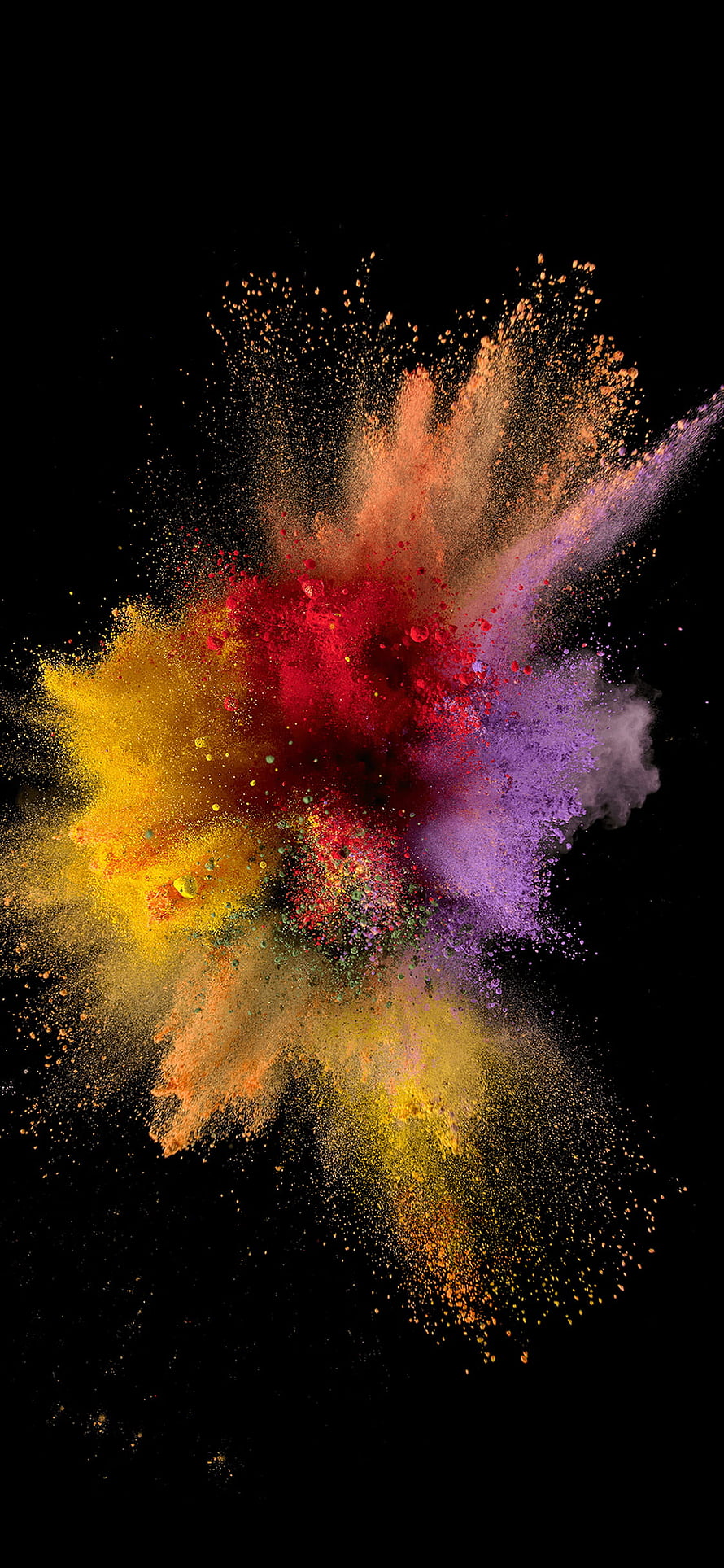 Vibrant Multicolor Powder Explosion Bursting Against Black Background HD phone wallpaper