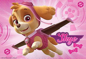 Skye from Paw Patrol Flying with Jetpack in Pink Outfit HD wallpaper