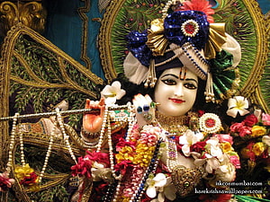 Ornate Krishna Murti Adorned With Fresh Flowers, Pearls, And Gold Jewelry HD wallpaper