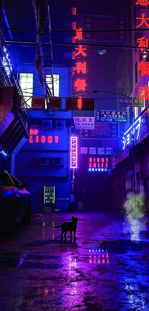 Cyberpunk Alleyway With Neon Signs And A Silhouette Cat On Wet Street HD phone wallpaper