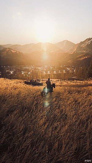 Red Dead Redemption 2 Cowboy Riding Horse Through Golden Grass Field At Sunset HD phone wallpaper