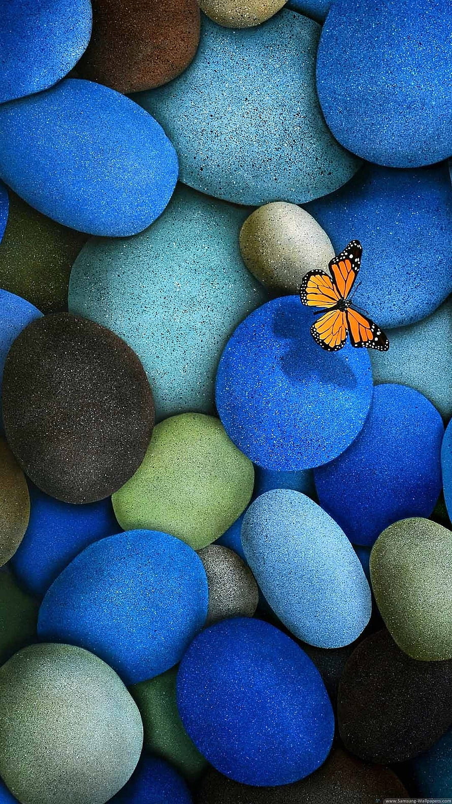 Monarch Butterfly Resting on Vibrant Blue and Green Pebbles HD phone wallpaper