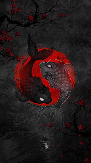Yin Yang Koi Fish Artwork with Red Plum Blossoms and Dark Background HD phone wallpaper