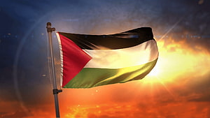 Palestinian Flag Waving Against Dramatic Sunset Sky HD wallpaper