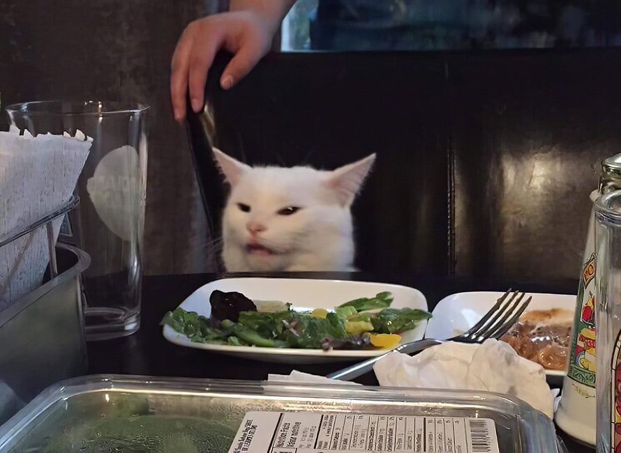 White Cat Peeking Over Chair Back at Restaurant Table With Salad HD wallpaper
