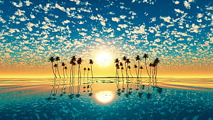 Tropical Palm Tree Silhouettes at Sunset with Calm Ocean Reflections HD wallpaper