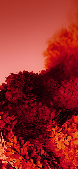 Abstract Red and Orange Floral Texture with Soft Gradient Background HD phone wallpaper