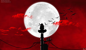 Silhouette of anime girl sitting on utility pole against giant full moon and red sky HD wallpaper