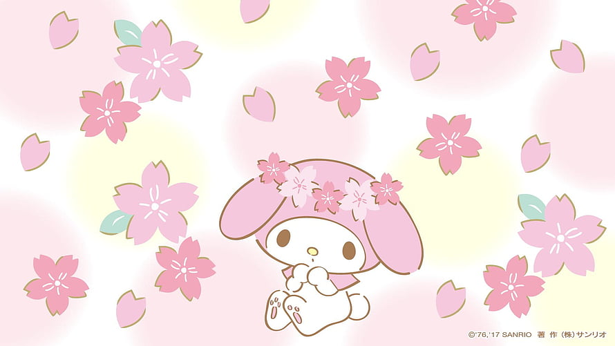 My Melody Spring Wallpaper with Pink Cherry Blossoms and Soft Pastel Background HD wallpaper