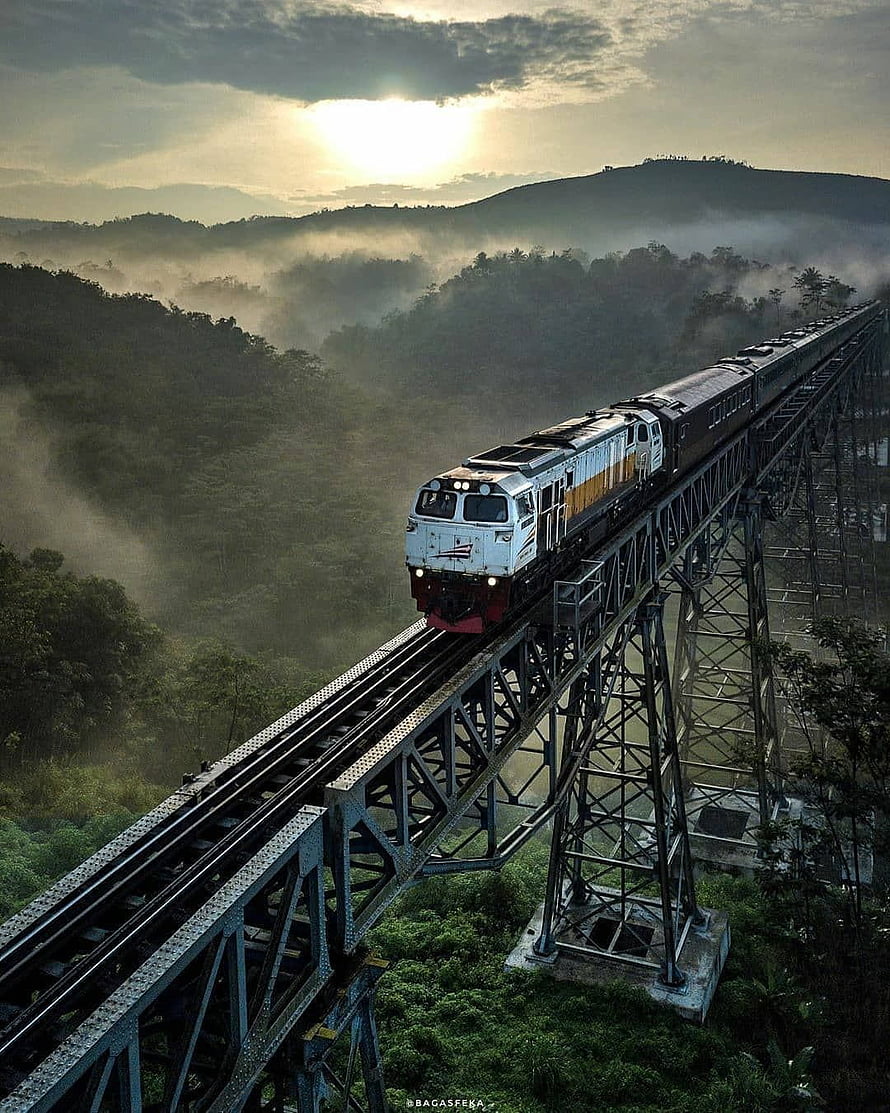 Train Crossing High Steel Bridge Over Misty Forest Valley at Sunrise HD phone wallpaper