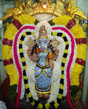 Goddess Varahi adorned in blue silk and gold jewelry with vibrant flower garlands HD phone wallpaper