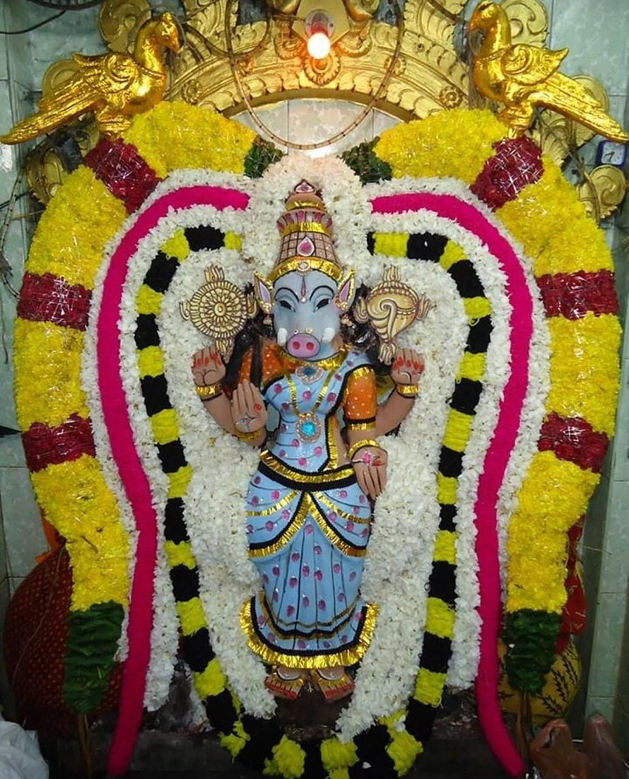 Goddess Varahi adorned in blue silk and gold jewelry with vibrant flower garlands HD phone wallpaper