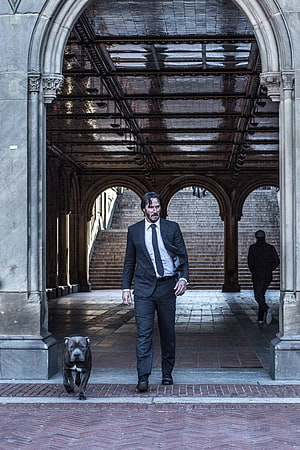 John Wick and Dog Walking Through Grand Arched Hallway in Dark Suit HD phone wallpaper