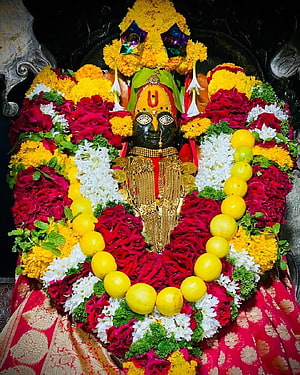 Tulja Bhavani Murti Adorned With Vibrant Marigold, Rose, and Lemon Offerings HD phone wallpaper
