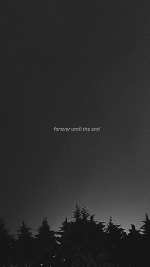 Moody Black and White Forest Silhouette with Minimalist Quote HD phone wallpaper