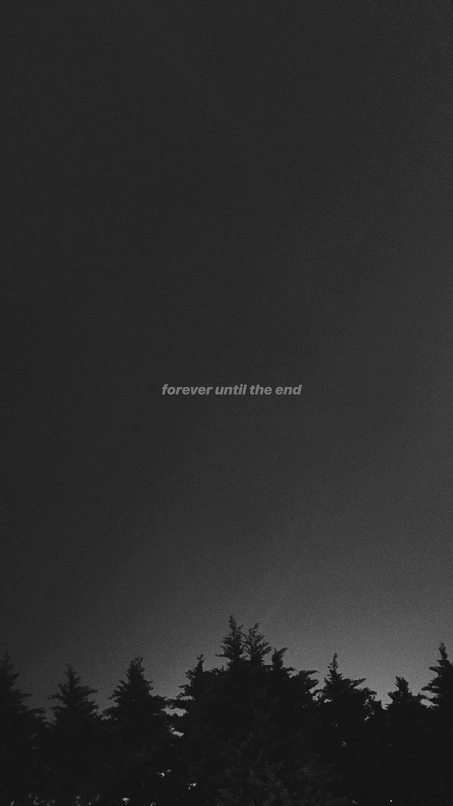 Moody Black and White Forest Silhouette with Minimalist Quote HD phone wallpaper