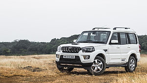White Mahindra Scorpio SUV parked in a dry grassy field with a forested background HD wallpaper