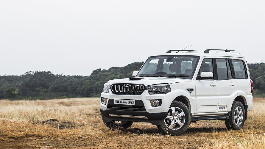 White Mahindra Scorpio SUV parked in a dry grassy field with a forested background HD wallpaper