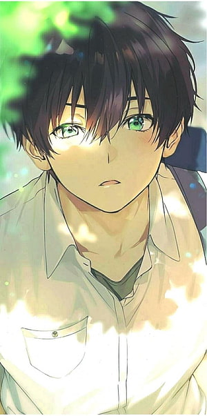 Anime Boy With Green Eyes And Black Hair In White Shirt HD phone wallpaper