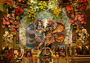 Vrindavan Temple Deities Adorned in Peacock Feather Garments and Vibrant Floral Arrangements HD wallpaper