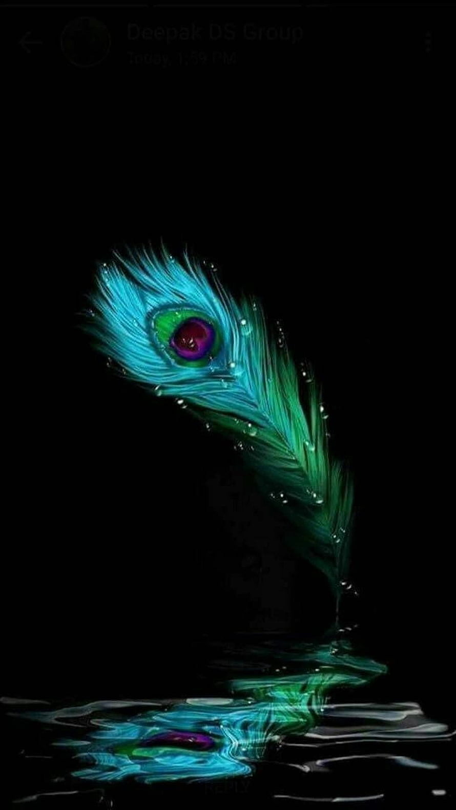 Vibrant Peacock Feather with Water Droplets on Black Background HD phone wallpaper