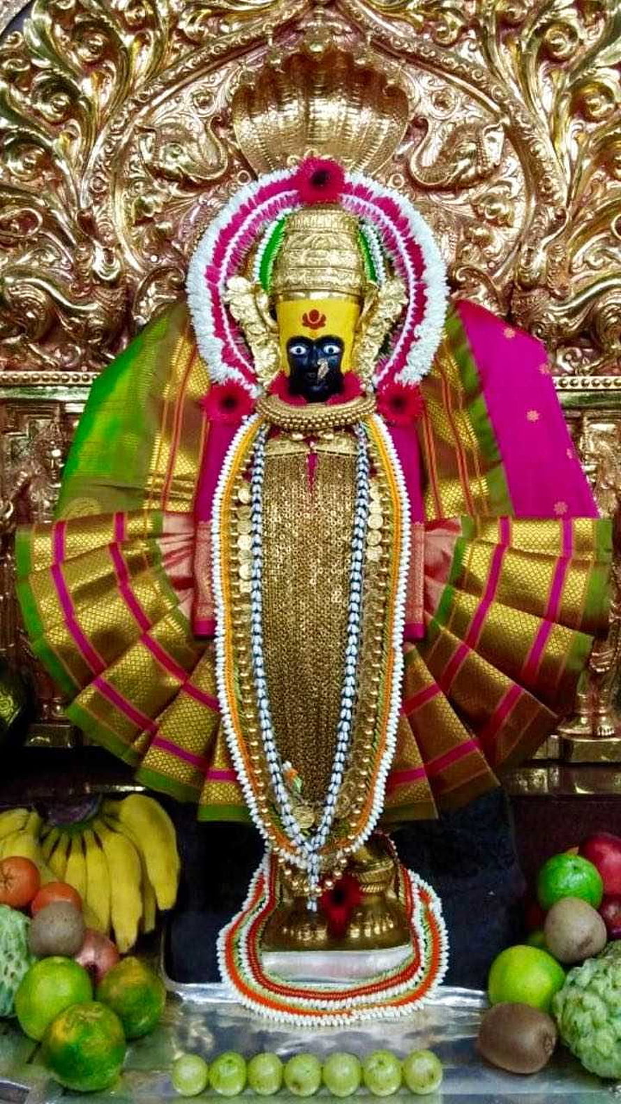 Aadi Shankaracharya Statue Adorned with Gold Jewelry and Silk Garments HD phone wallpaper