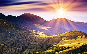 Golden Sunburst Over Forested Mountain Ridges at Dawn HD wallpaper
