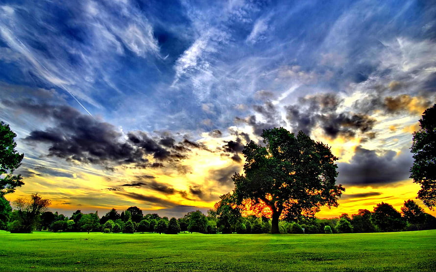 Dramatic Sunset Over Lush Green Meadow With Silhouetted Trees HD wallpaper