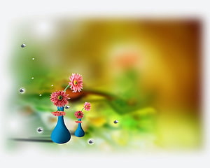 Pink Gerbera Daisies in Blue Vases with Floating Water Droplets on a Soft Blurred Background HD wallpaper