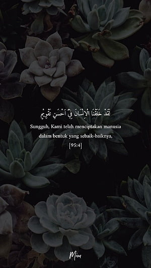 Dark Succulent Background with Quran Verse 95:4 in Arabic and Indonesian HD phone wallpaper